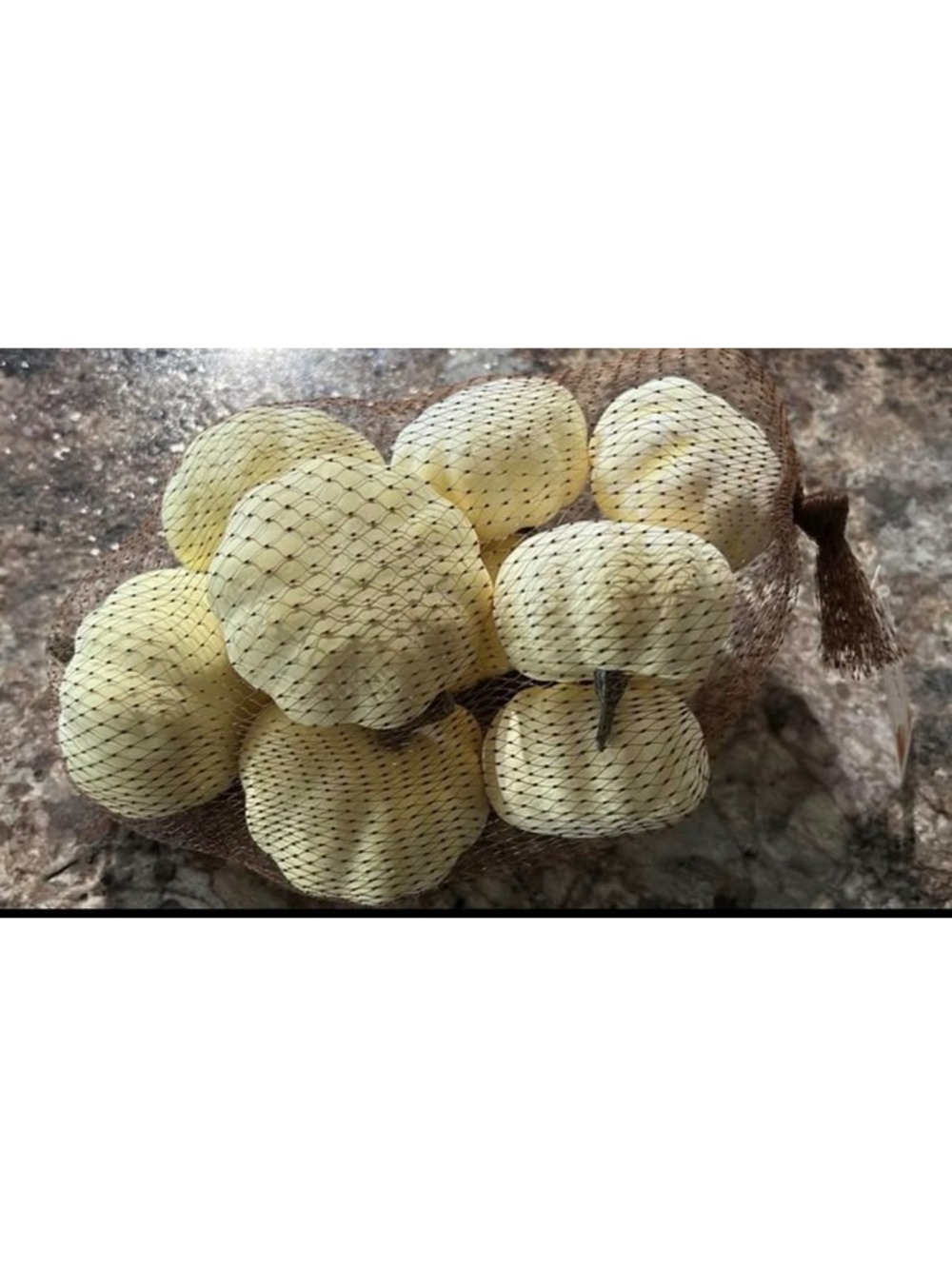 Artgar Pumpkin Decor - 10 PCS Mini Pumpkins Harvest